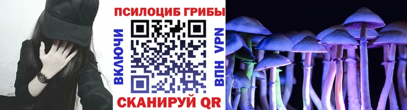 цены наркотик  Оленегорск  Псилоцибиновые грибы Psilocybine cubensis 