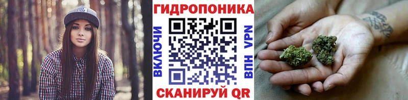Бошки марихуана MAZAR Оленегорск
